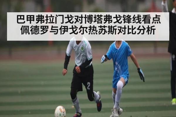 巴甲弗拉门戈对博塔弗戈锋线看点佩德罗与伊戈尔热苏斯对比分析